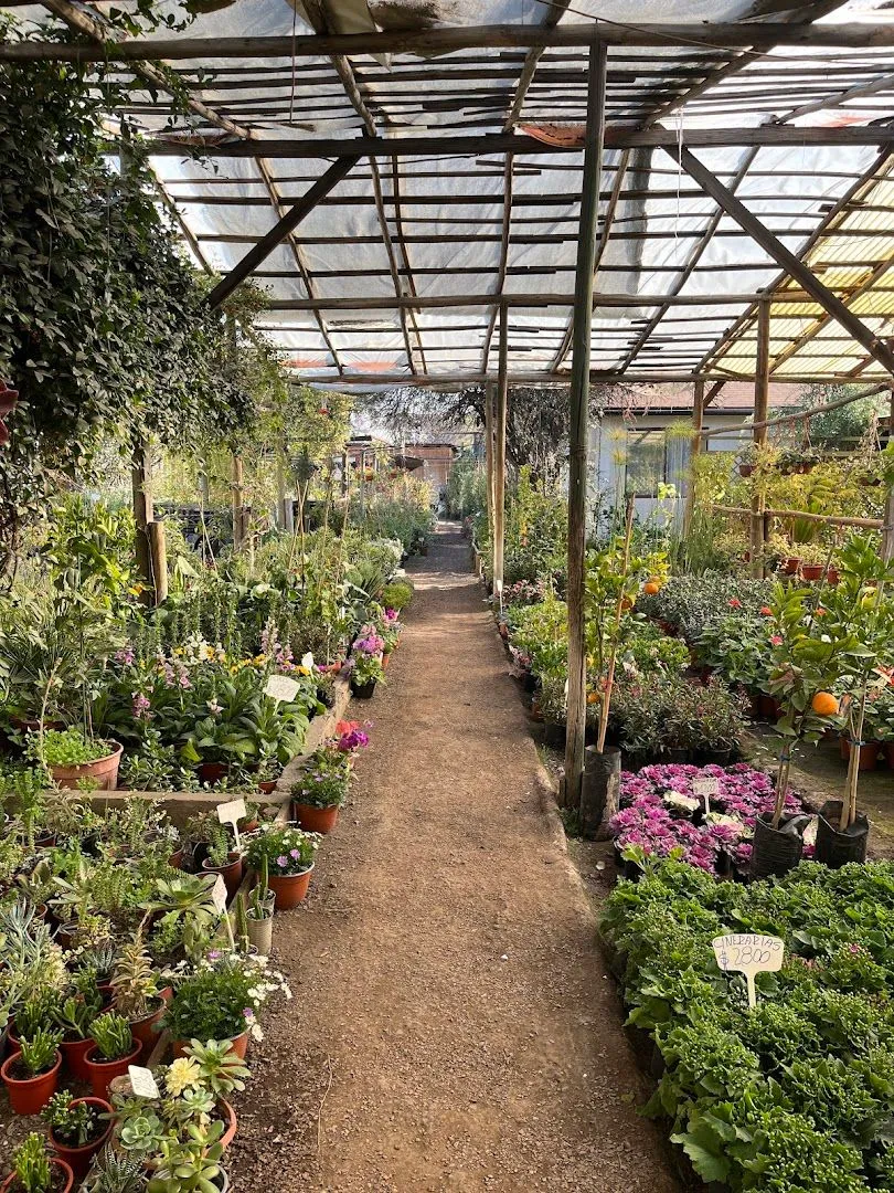 Vivero Jardín Español
