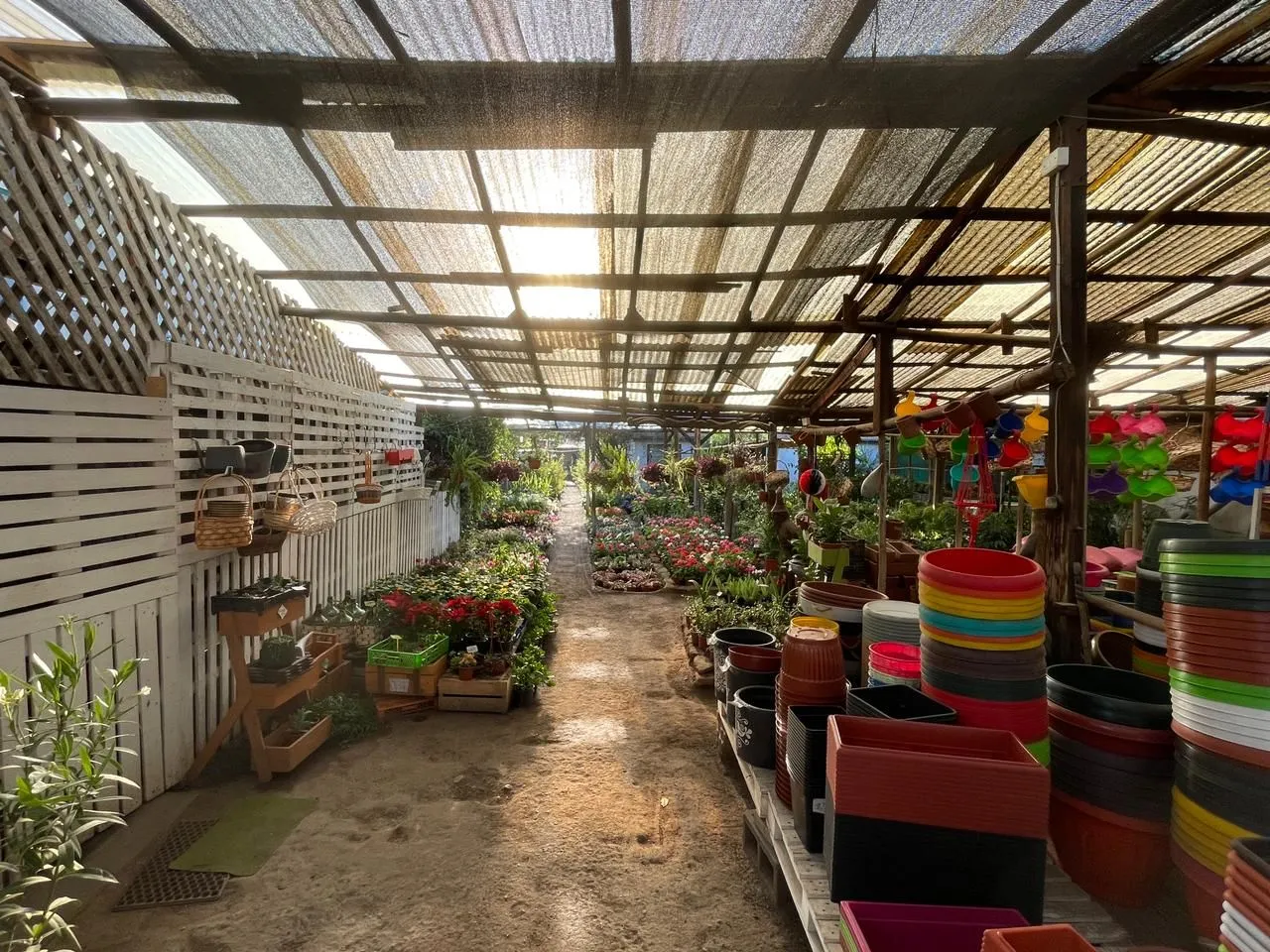 Vivero Jardín Español