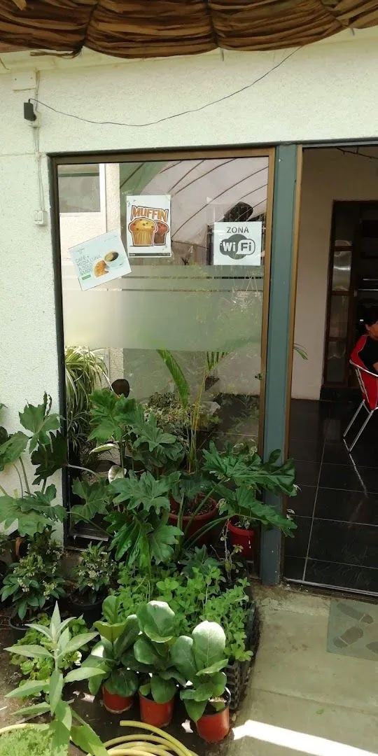 Jardín El Sauce