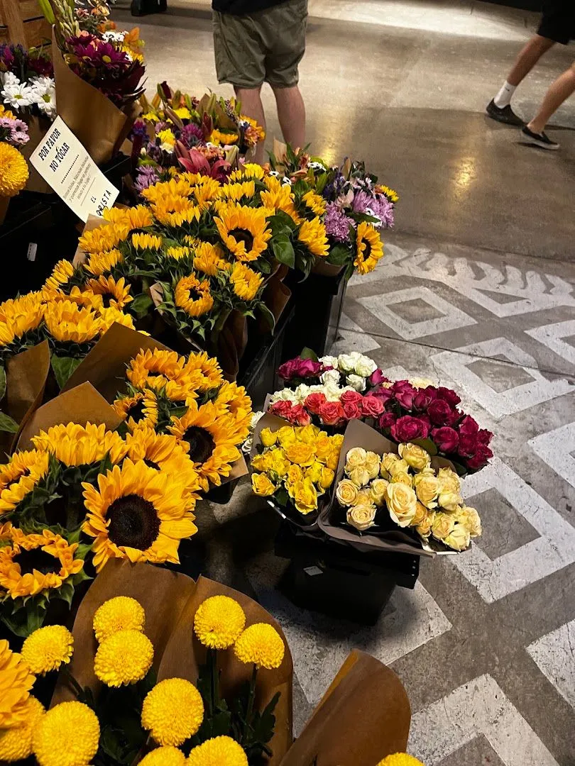 El Florista MUT