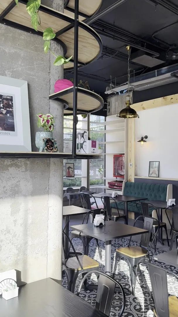 Bassotto Café