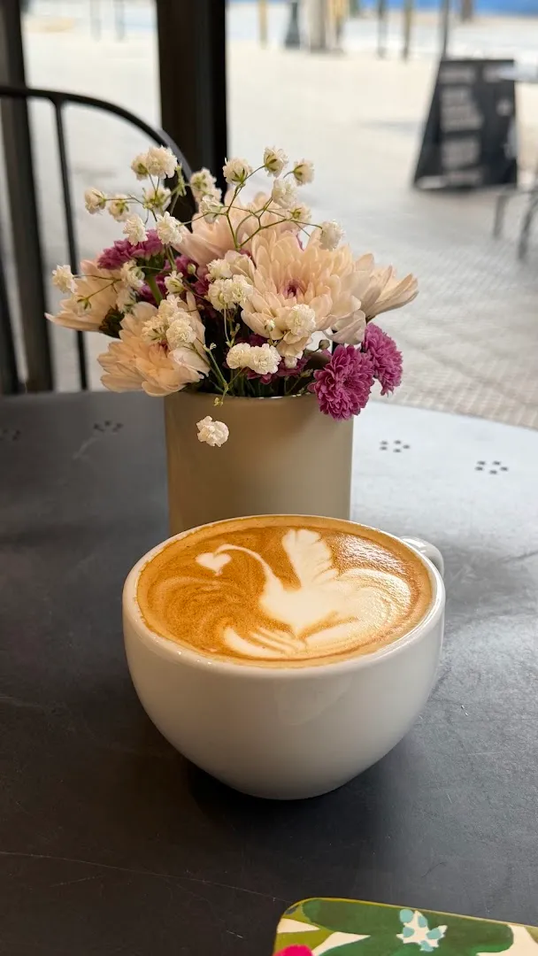 Singular Coffee Roasters Suecia