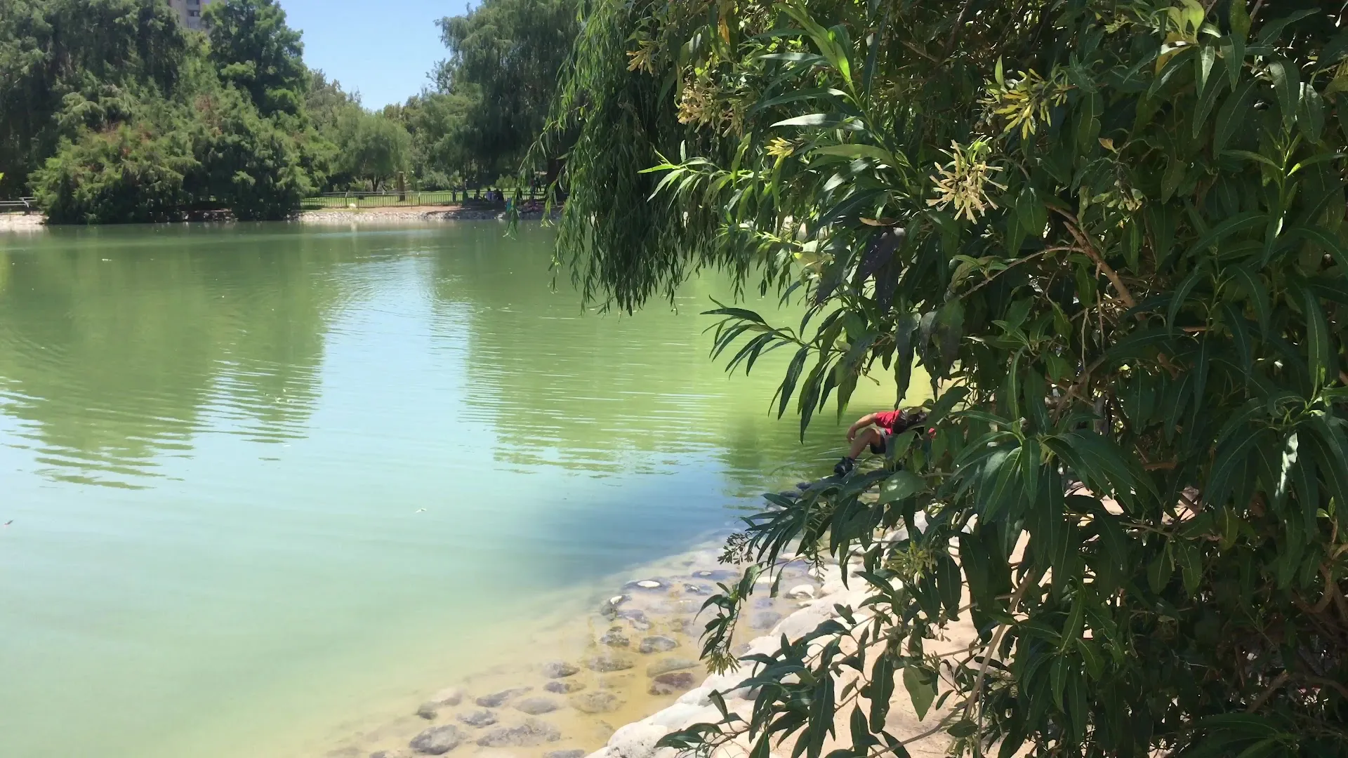 Parque de los Reyes