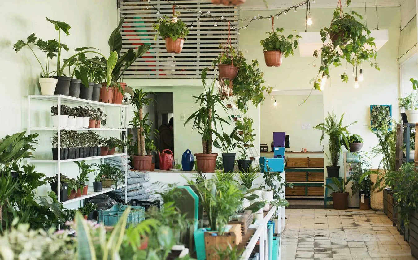 Fachada e interior de Arte Cultivos, Barrio Italia