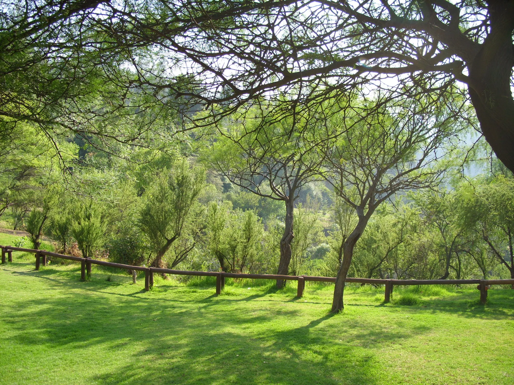 Jardín Mapulemu
