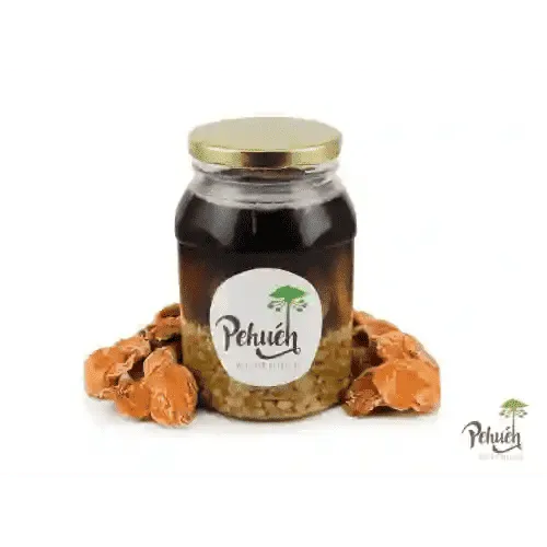 Pehuén Mote con Huesillo