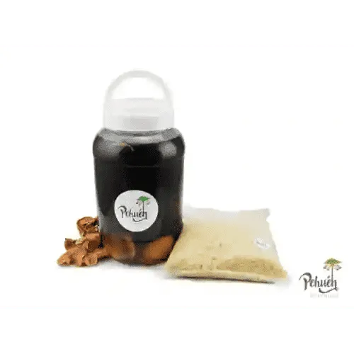 Pehuén Mote con Huesillo